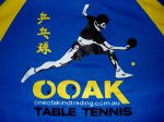 OOAK Table Tennis Team Shirt (L/XL/XXL) Clearance