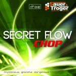 Secret Flow